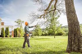 Best Hazardous Tree Removal  in Buna, TX